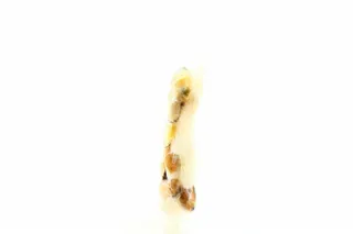 Skandinavika Seafood Mix TM 5 Continents 450g — photo 3