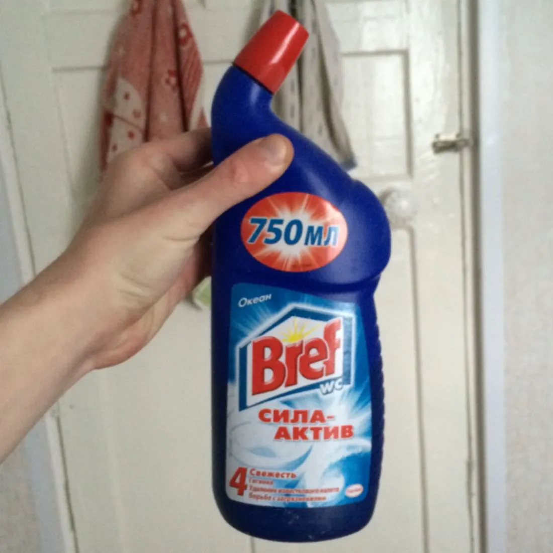 Bref Toilet Cleaner Against Bacteria and Limescale 750ml
