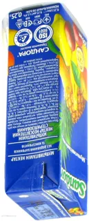 Multivitamin Nectar 0.25L Tetra Pak — photo 3