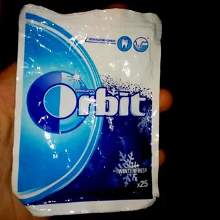 Orbit Winter Fresh Chewing Gum 25 Pieces 35g — photo 7