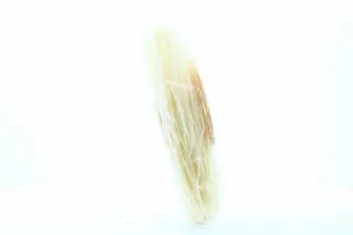 Hokkaido Club Rice Vermicelli 300g — photo 4