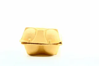 Yasensvit Chicken Eggs Tray 10pcs — photo 3