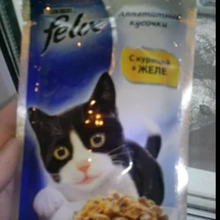 Felix Wet Cat Food Chicken 85g — photo 2