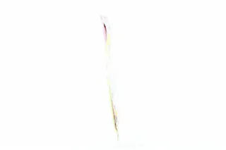 Eko Seasoning for Fish 20g — photo 2