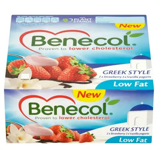 Benecol Cholesterol Lowering Greek Yogurt — photo 3