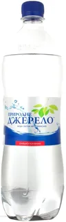 Pryrodne Dzherelo Mineral Water Strongly Carbonated 1L — photo 2