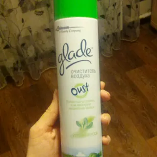 Air Freshener Spray Morning Dew 300ml Can — photo 3