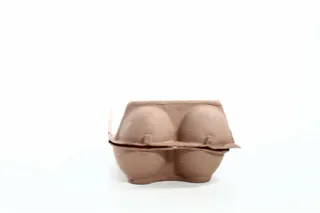 Koko Mister EGG chicken eggs C1 10 pcs — photo 2