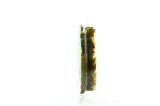 Santa Bremor Marinated Sea Kale 150g — photo 2