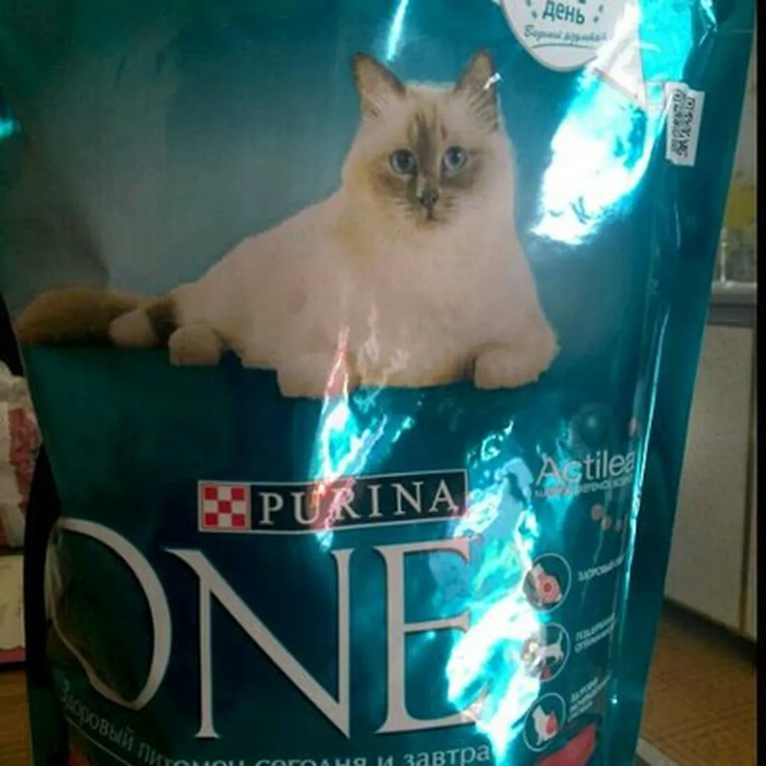 Сухий корм PURINA ONE для стерилізованих кішок з яловичиною та пшеницею, 750 г