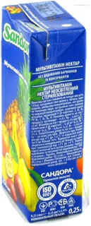 Multivitamin Nectar 0.25L Tetra Pak — photo 6