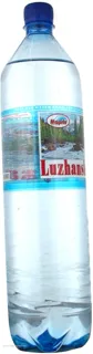 Alex Luzhanska Mineral Medicinal Water Plastic Bottle 1.5L — photo 5
