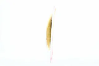 Exquisa cheese with fig and mustard 60% 110g Germany sliced — photo 2