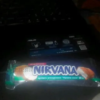 NirvanaDoma Coconut Bar ZhytLasoshchi 40g — photo 3