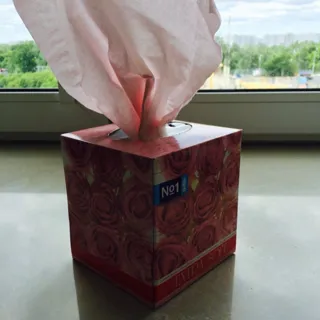 Bella Extra Soft No.1 2-ply Cosmetic Paper Tissues 80pcs — photo 4