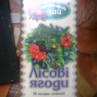 Karpatskyi Chai Forest Berries 20 bags 40g — photo 4