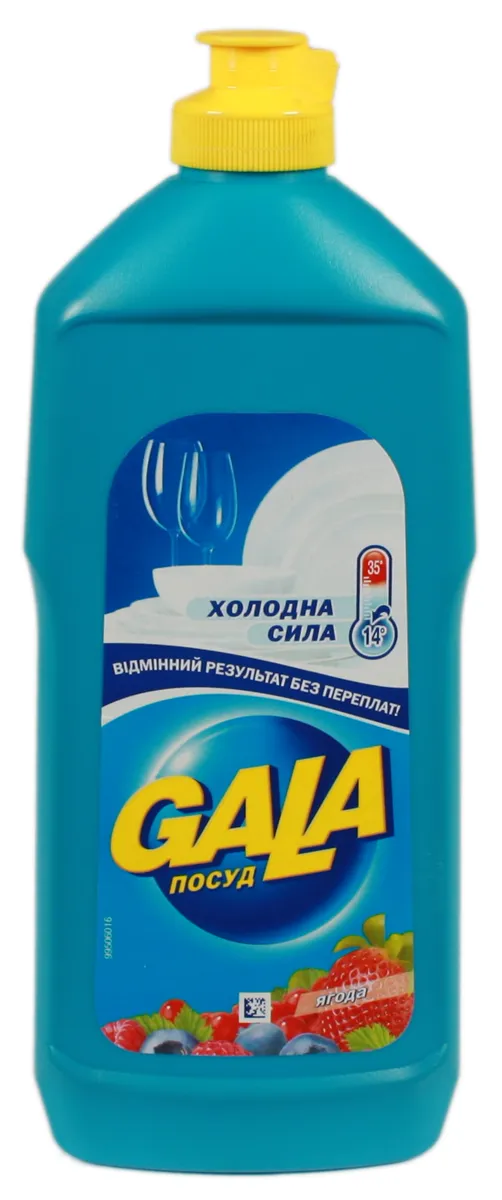 Gala Berries Dishwashing Liquid 500ml