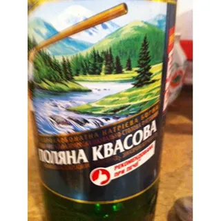 Poliana Kvasova Sparkling Mineral Water 0.5L Pack of 12 Bottles — photo 2