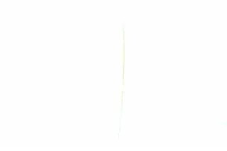 Rif Trout slightly salted sliced 90g — photo 4