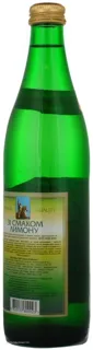Gruzinskyi Buket Lemon Drink 0.5L — photo 2