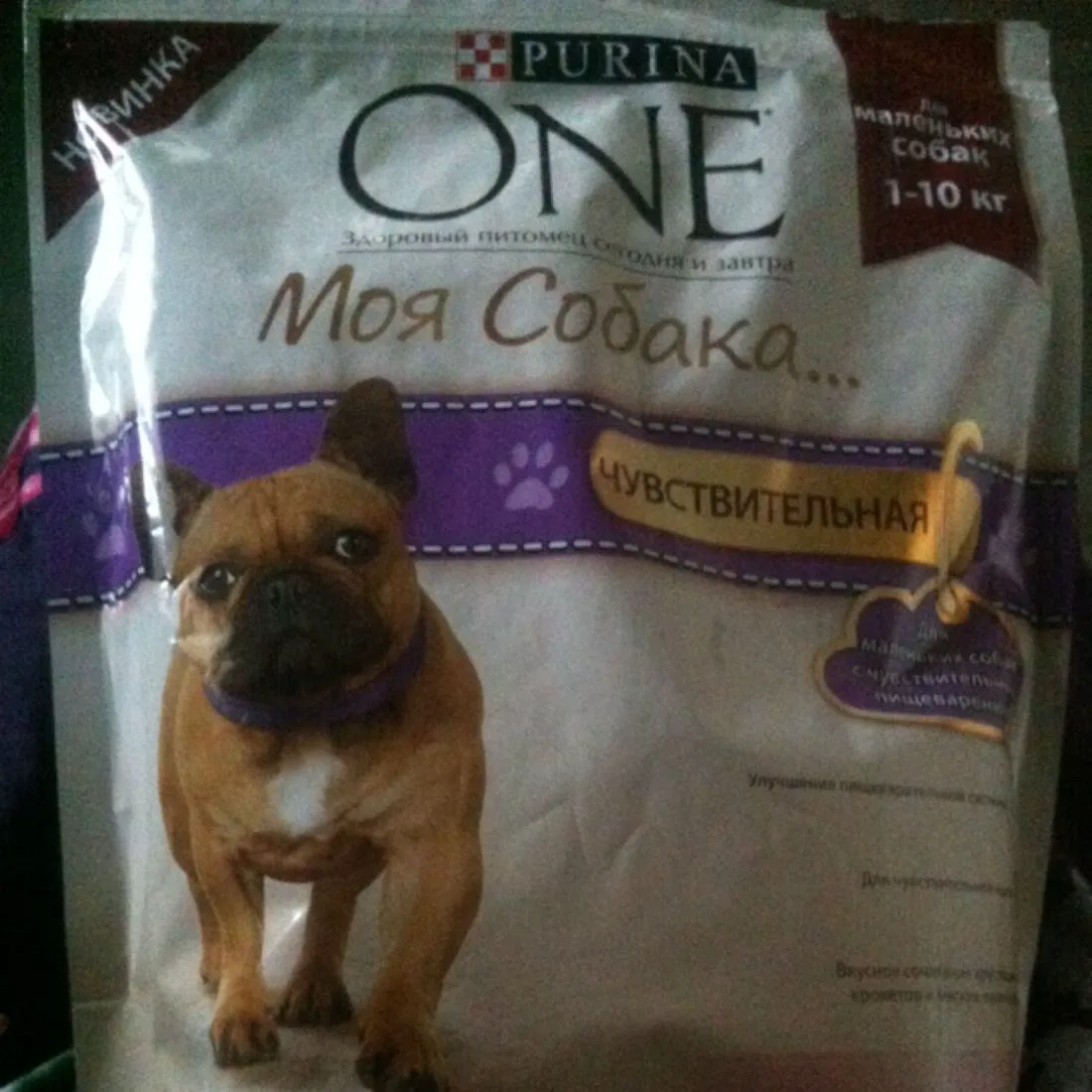 PURINA ONE Dog Food Salmon Rice, 600 g