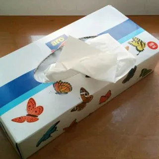 Aro Napkins 21x21 100 pcs — photo 2