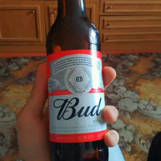 Bud Lager Beer 5% Glass Bottle 0.5L — photo 3